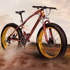 Lee más sobre el artículo Fat Bikes