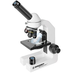 Lee más sobre el artículo Microscopios