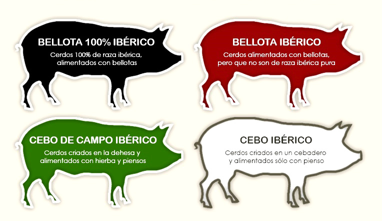 Comprar Jamón Ibérico - Etiquetas del Jamón Ibérico (Colores)