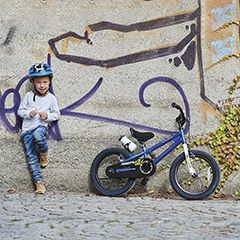 Lee más sobre el artículo Bicicletas para Niños