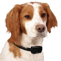 Lee más sobre el artículo Mejor Collar de Adiestramiento para Perros