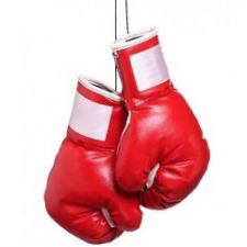 Tienda Online de Guantes de Boxeo